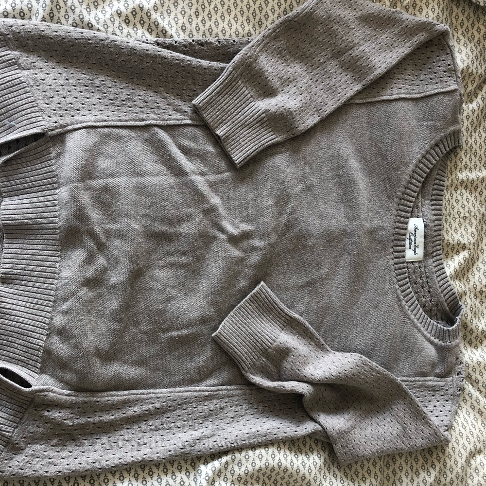 Brown American Eagle Sweater